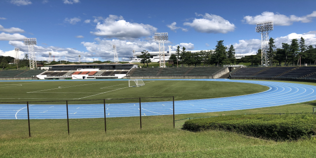 Ein Fußballfeld mit grünem Rasen, Pflanzen und einem umgebenden Zaun, mit Tribünen, Flutlicht, Bäumen, Gebäuden und Türmen im Hintergrund unter einem bewölkten Himmel.