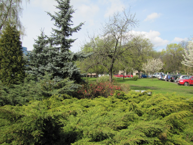 Ein Park mit verschiedenen Bäumen, Pflanzen, Gras und Blumen, mit Autos auf dem Parkplatz und Gebäuden im Hintergrund bei einem bewölkten Himmel.