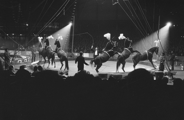 Schwarzes und weißes Foto von Darstellern auf Pferden auf einer Bühne mit einem Publikum darunter und zusätzlichen Personen im Hintergrund.