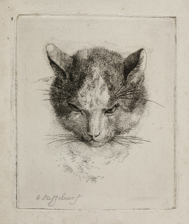 Schwarze und weiße realistische Zeichnung einer Katze mit weiten Augen, aufgestellten Ohren, langen Schnurrhaaren und einem eingekringelten Schwanz auf Papier mit fetter Schrift.