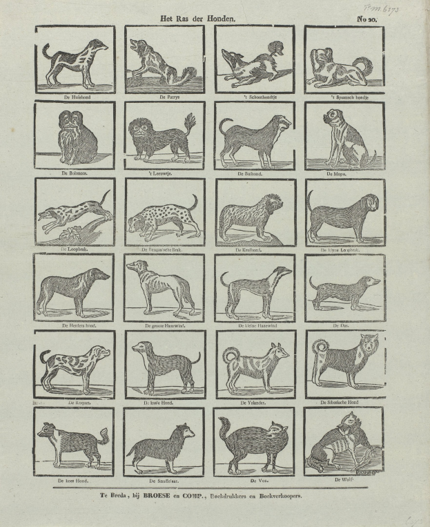 Ein altes Buch, das auf einer Seite mit Abbildungen und Beschreibungen verschiedener Hunderassen offen ist.