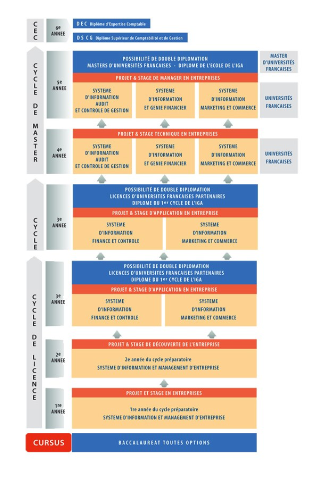 Diagramm, das die organisatorische Struktur eines Unternehmens mit interconnected boxes darstellt, die die verschiedenen Phasen des Geschäftswachstums und der Entwicklung darstellen, begleitet von Text, der die Rollen und Verantwortlichkeiten beschreibt.