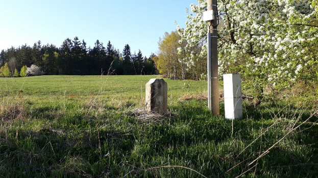 Eine grüne Wiese mit einem zentralen Baum, umgeben von anderen Bäumen, unter einem klaren blauen Himmel, mit einem Pfahl und zwei Betonblöcken im Vordergrund, wahrscheinlich Teil eines Denkmals.