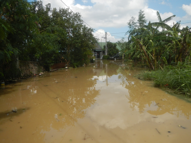 Eine überflutete Landstraße mit Wasser, das die Straße bedeckt, Pflanzen und Bäumen auf beiden Seiten und einem Auto auf der rechten Seite, mit beschädigten Häusern, Strommasten und Drähten im Hintergrund unter einem bewölkten Himmel.