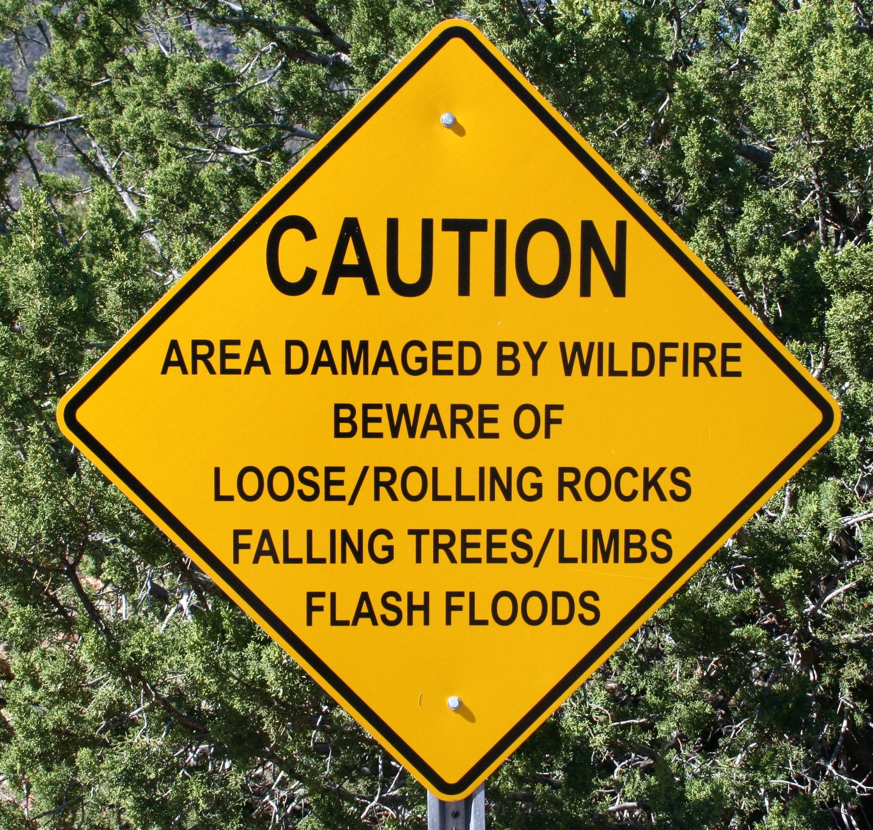 Gelbes Warnschild an einem Pfahl in der Vordergrund, das vor 'Vorsicht: Wildfire-Geschädigtes Gebiet - Achten Sie auf lockere rollende Steine, umstürzende Bäume, Äste, Flash Floods' warnt, mit Bäumen im Hintergrund.