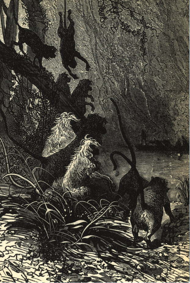 Schwarze und weiße Illustration einer Gruppe von Löwen in einer Dschungellandschaft mit üppigen Pflanzen und Bäumen, mit dem Text 'Der König der Löwen' unten.