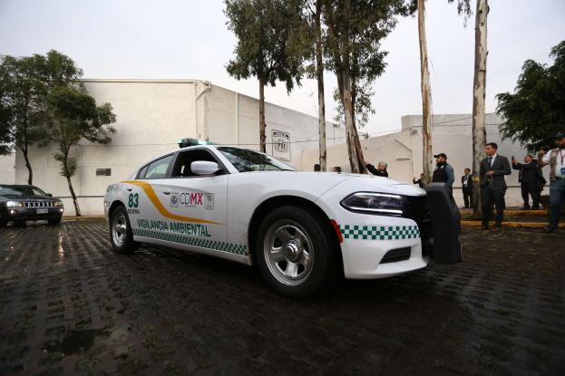 Ein weißer Polizeiwagen steht vor einem Gebäude in Mexiko-Stadt, umgeben von einer Gruppe Menschen in verschiedenen farbigen Kleidern und Mützen, mit Bäumen und einem klaren blauen Himmel im Hintergrund.