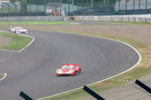 Zwei Sportwagen auf einer Rennstrecke umgeben von Gras, Zaun, Pfosten, Bäumen und Gebäuden