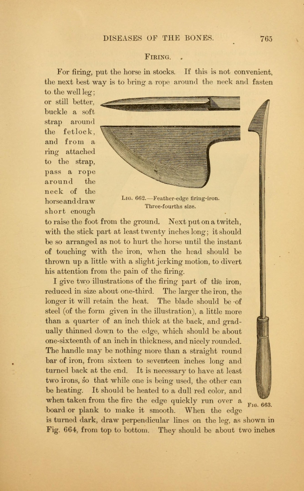 Ein aufgeschlagenes Buch mit einer detaillierten Illustration eines Messers auf seinen Seiten, das eine scharfe Klinge und einen Griff sowie darunter sichtbaren Text zeigt.