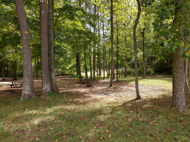 Ein Park mit Bäumen, gefallenen Herbstblättern in leuchtenden Farben und verstreuten Bänken.